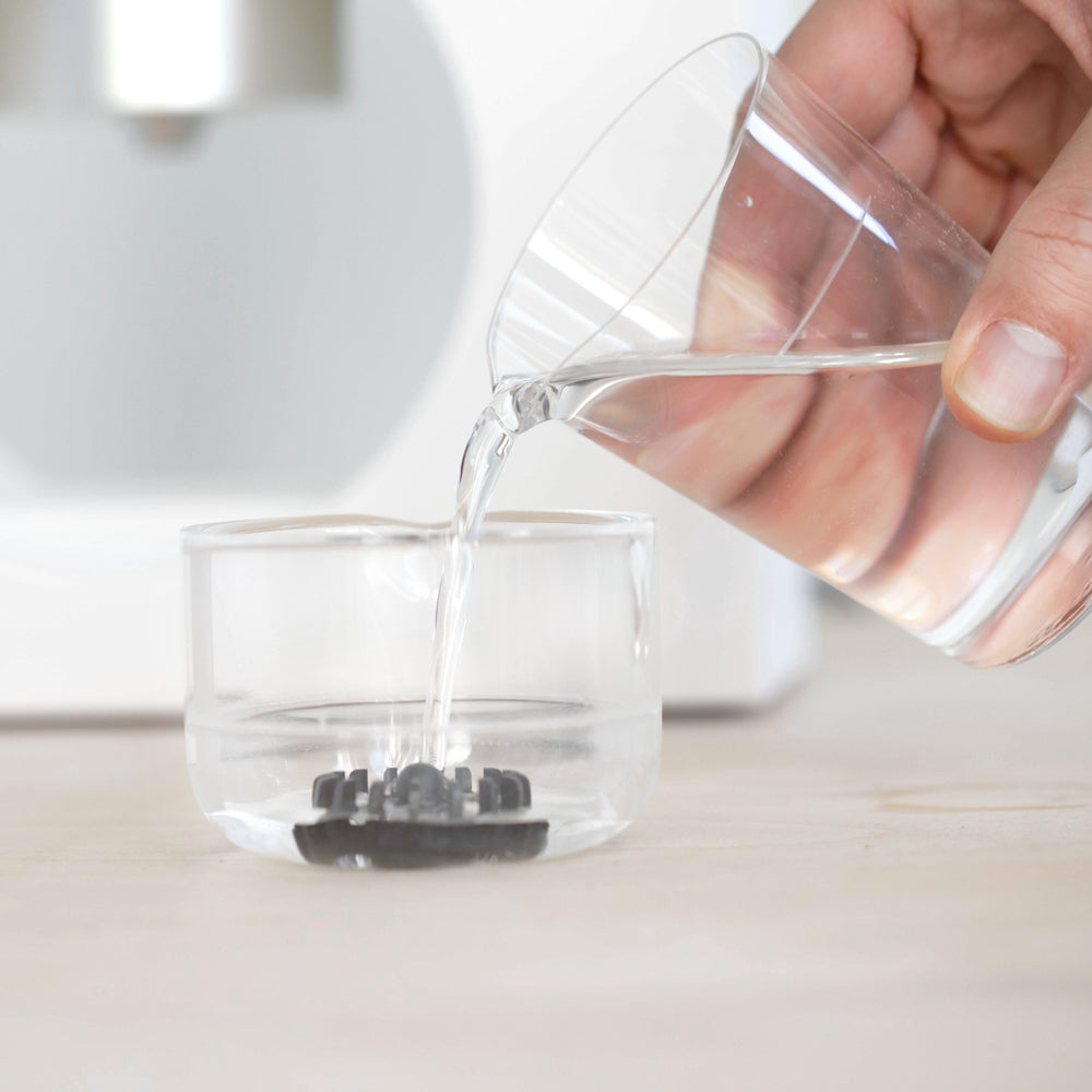 Pouring water into a whisking cup