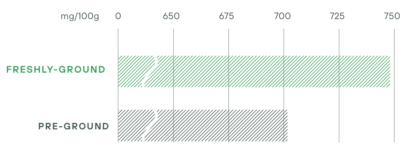A chart showing that freshly-ground matcha contains much more chlorophyll a than pre-ground matcha does.