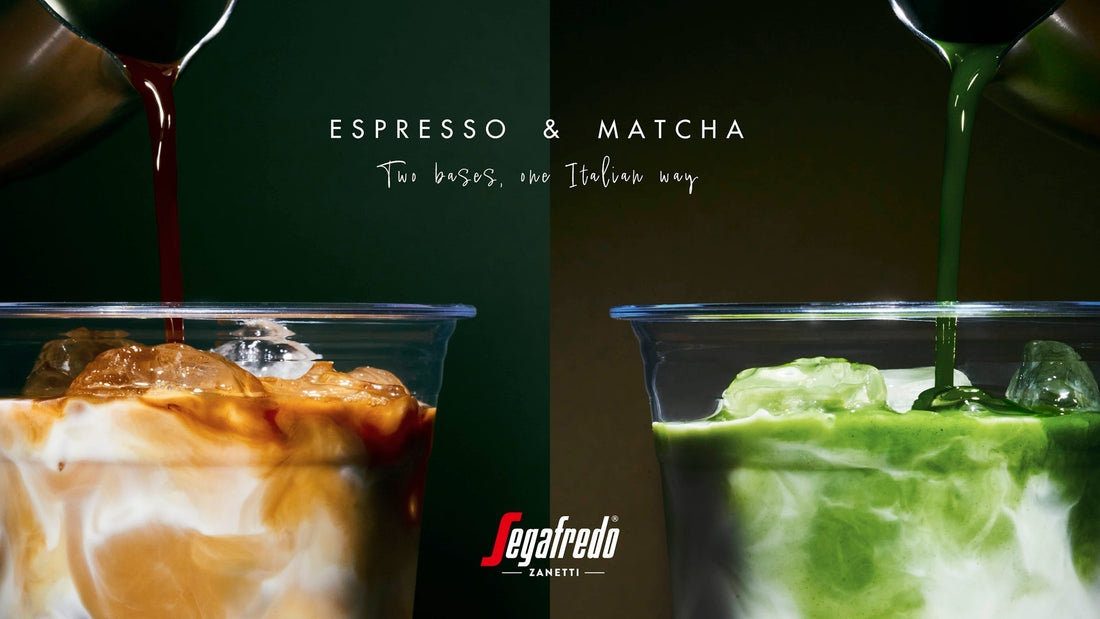 segafredo (Shinjuku / Hiroo / Toyosu, Tokyo)