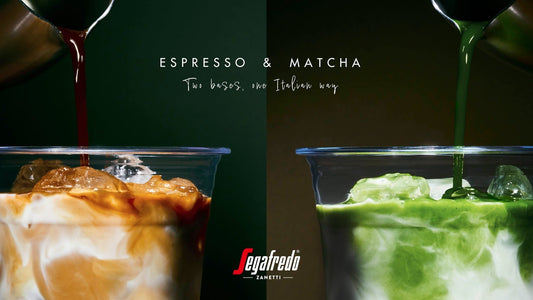 segafredo (Shinjuku / Hiroo / Toyosu, Tokyo)