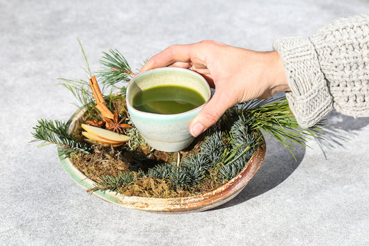 A warm cup of matcha-infused apple cider surrounded with pine needles and cinnamon sticks.