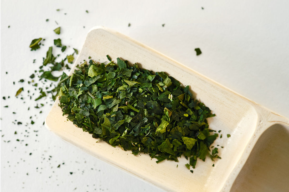 What is tencha and why is it so healthy? – Cuzen Matcha