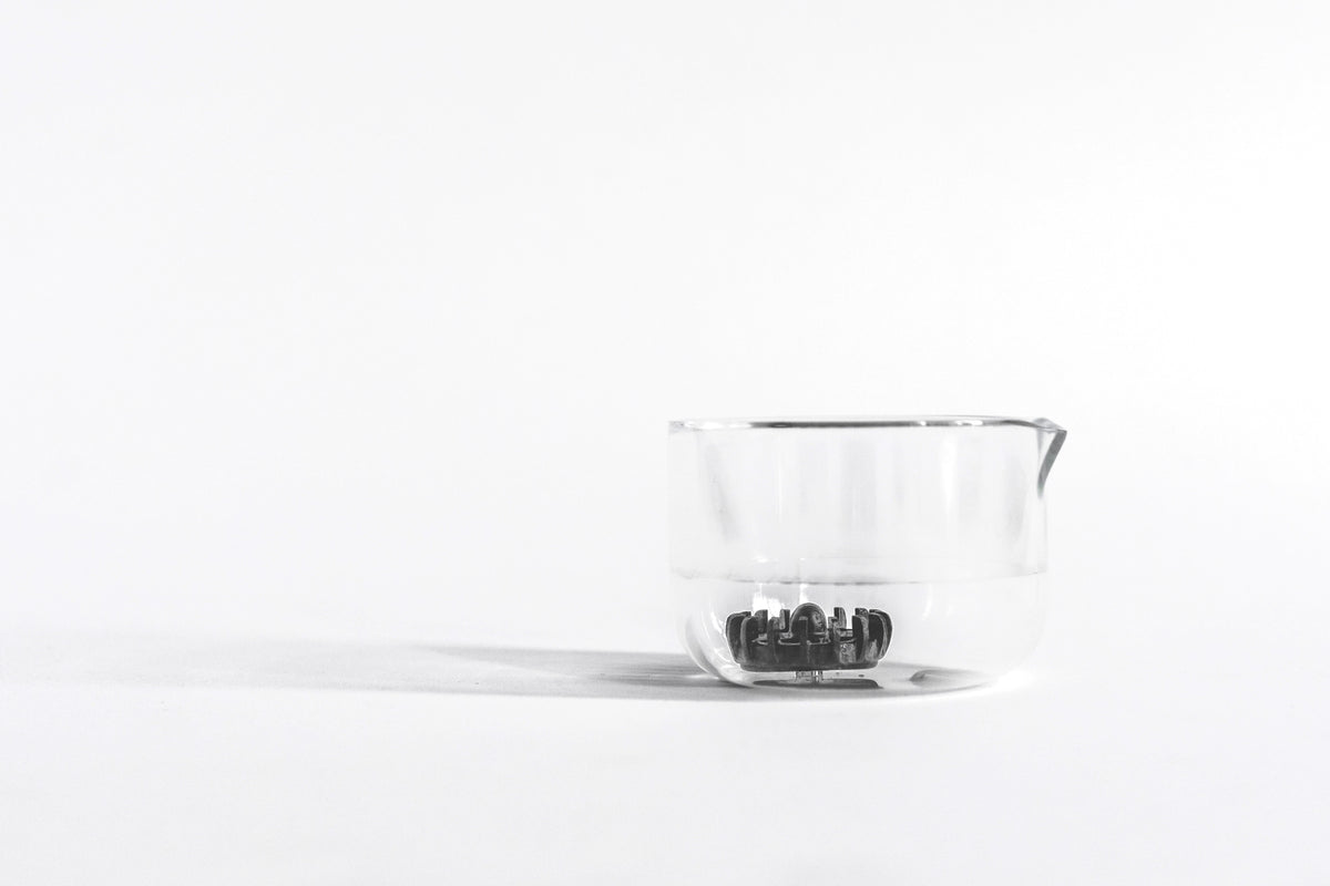 Matcha Maker | Cuzen Matcha
