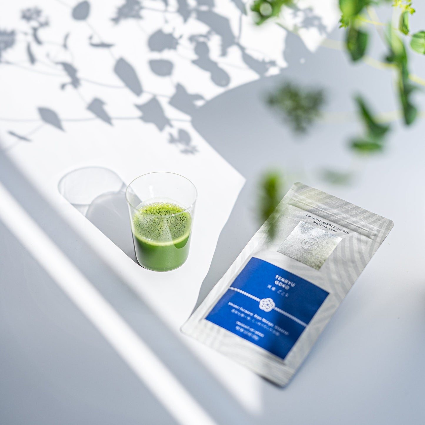 オーガニック シングルオリジン抹茶リーフ 12 全10種 おまとめセット