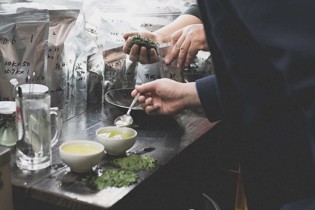 Matcha tea blends are tasted and tested. 