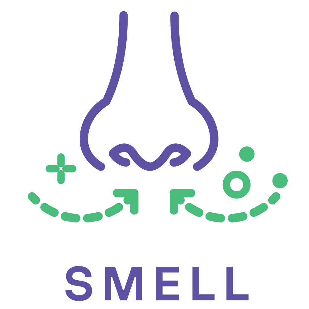 A nose icon with the word "smell."