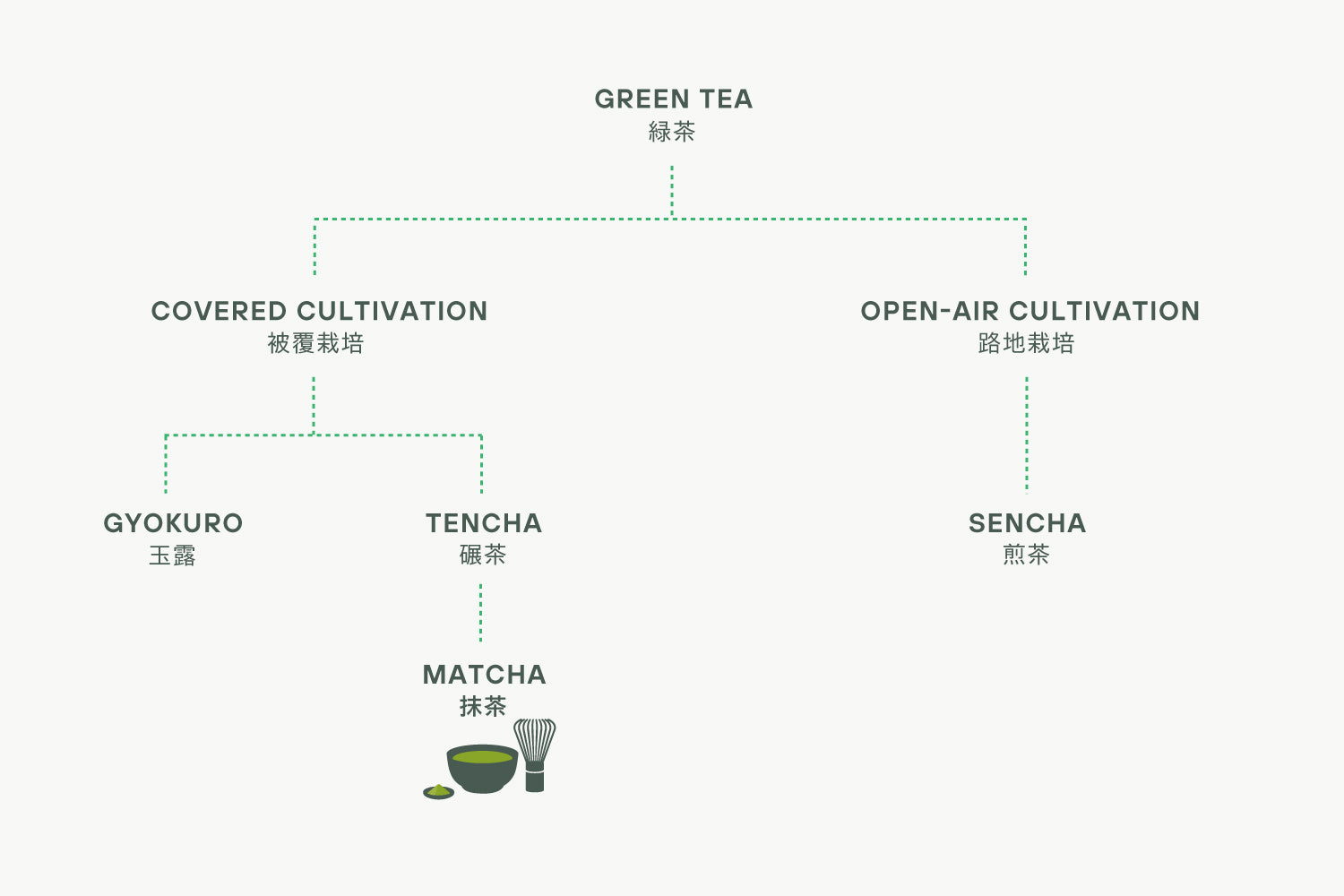 A chart delineating which green teas are shade-grown and which are not. (Tencha is shade-grown.)